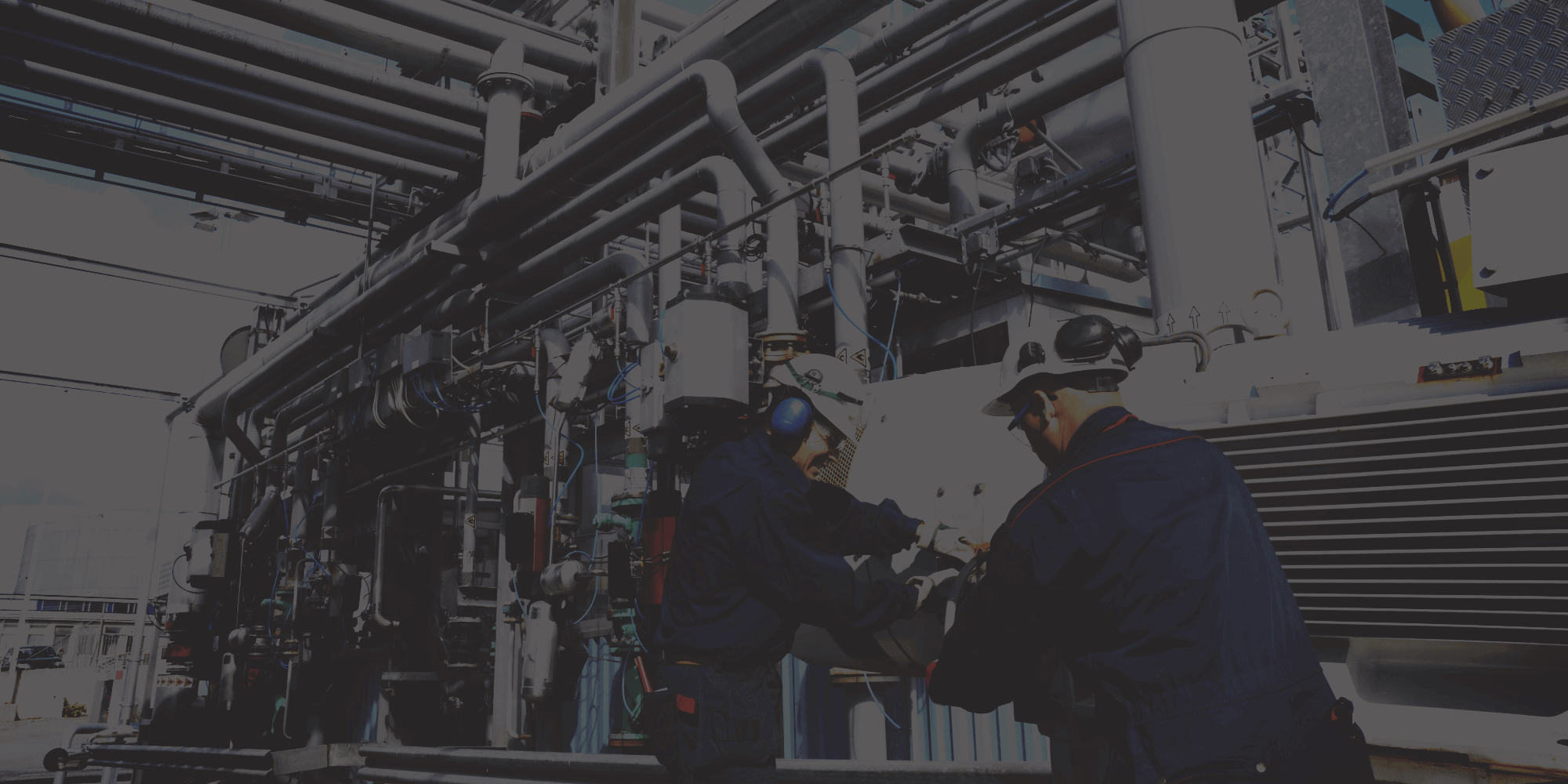 Analyst Certification Program Analyst