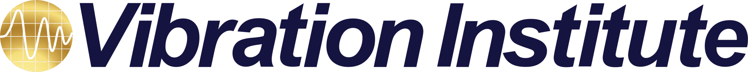 Vibration Institute